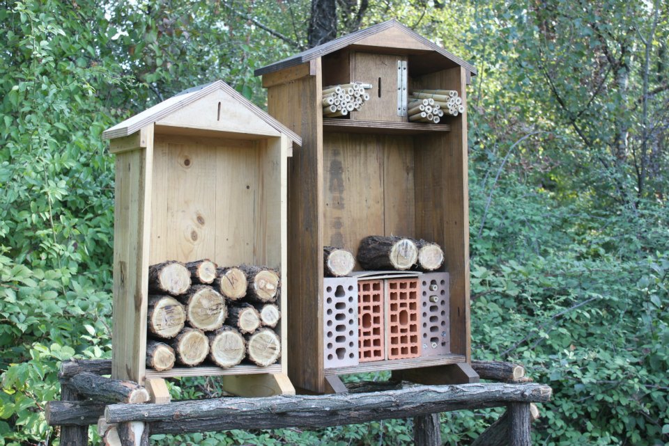 Progetto BarroBugBox