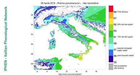 28.04.2016 analisi web
