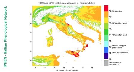 13.05.2016 analisi web