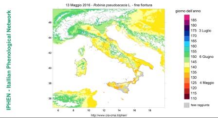 13.05.2016 previsione web