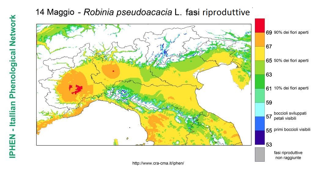 20150514 robinia ANALISI LOMBARDIA