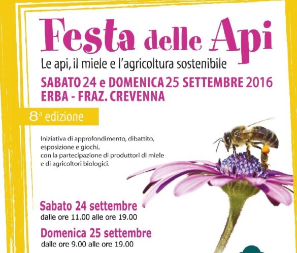festa api volantino 2016