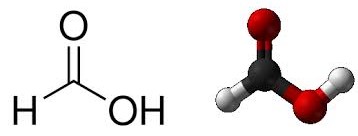 Apifor 60  e Oxuvar: disponibili due nuovi farmaci per la lotta alla Varroa