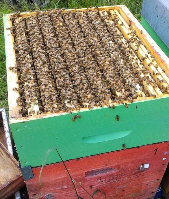 WhatsApp Image 2018 05 07 at 22.42.05