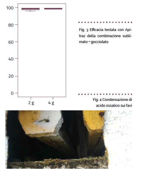 fig. 3 art. sublimox