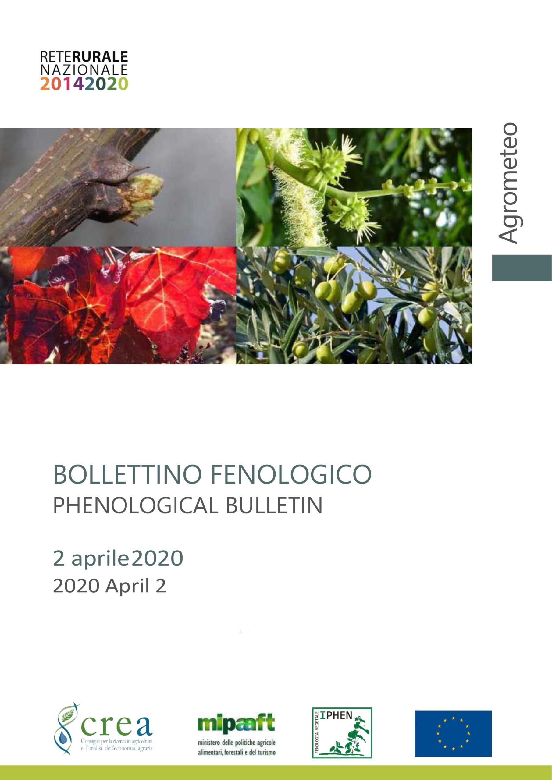 Iphen bollettino 2 apr 2020