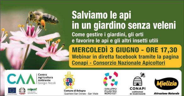 Webinar Conapi zanzare