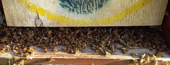 WhatsApp Image 2020 08 09 at 13.14.41 2