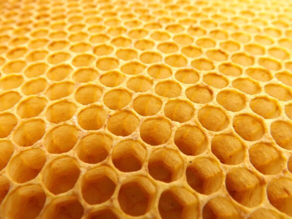 honeycomb 530987 960 720