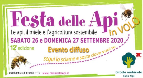 API2020 banner bordo s 1024x556