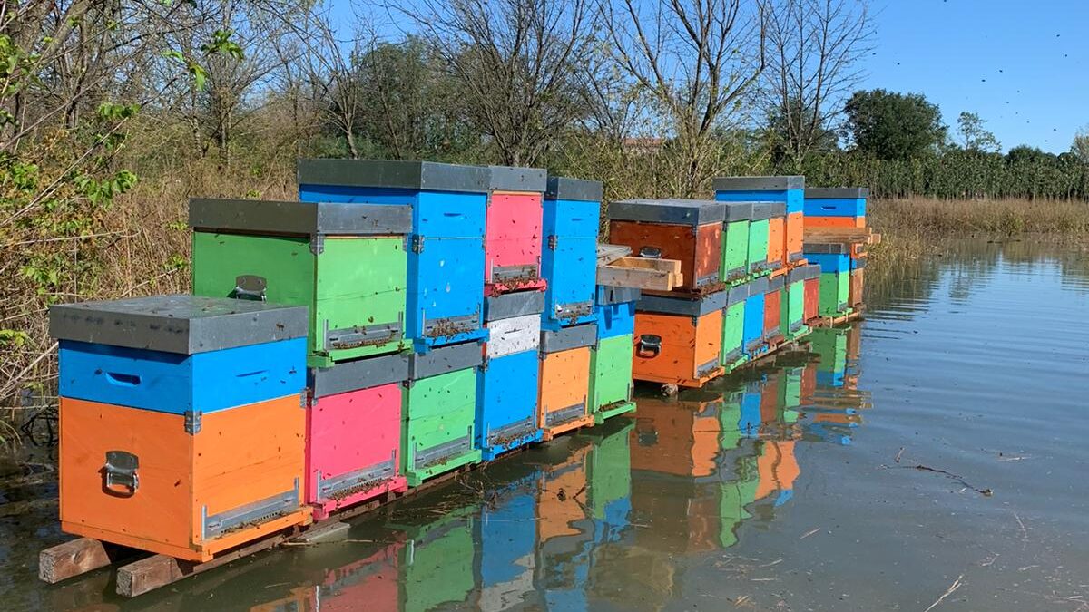 Raccolta fondi per gli apicoltori alluvionati
