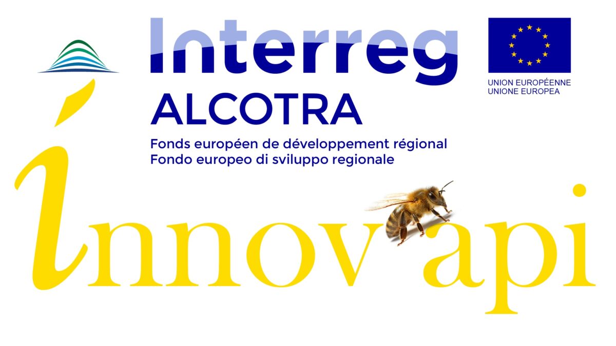 Evento online sul progetto Innov’Api