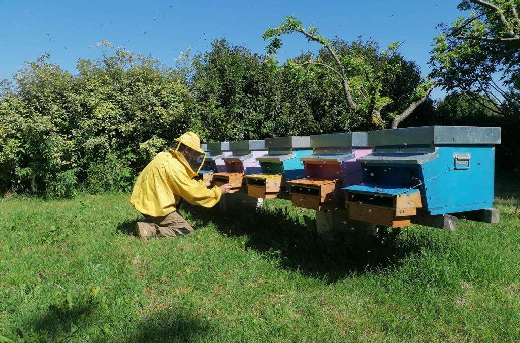 Progetto sperimentale ERSAF – Associazioni Apistiche, per il monitoraggio del polline