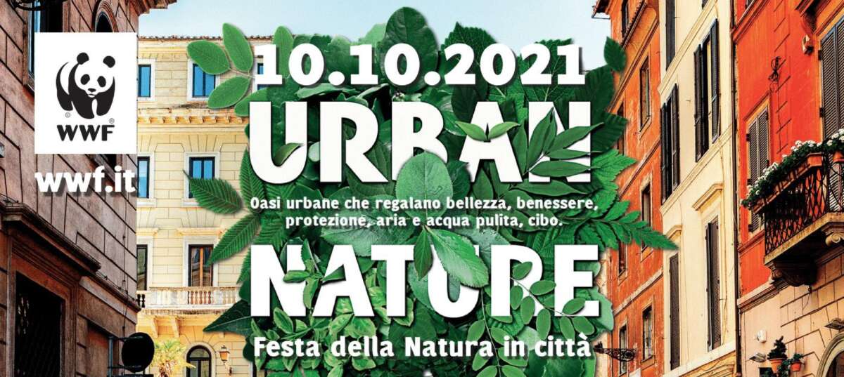 Urban Nature 2021: scopri come partecipare agli eventi organizzati da Apilombardia