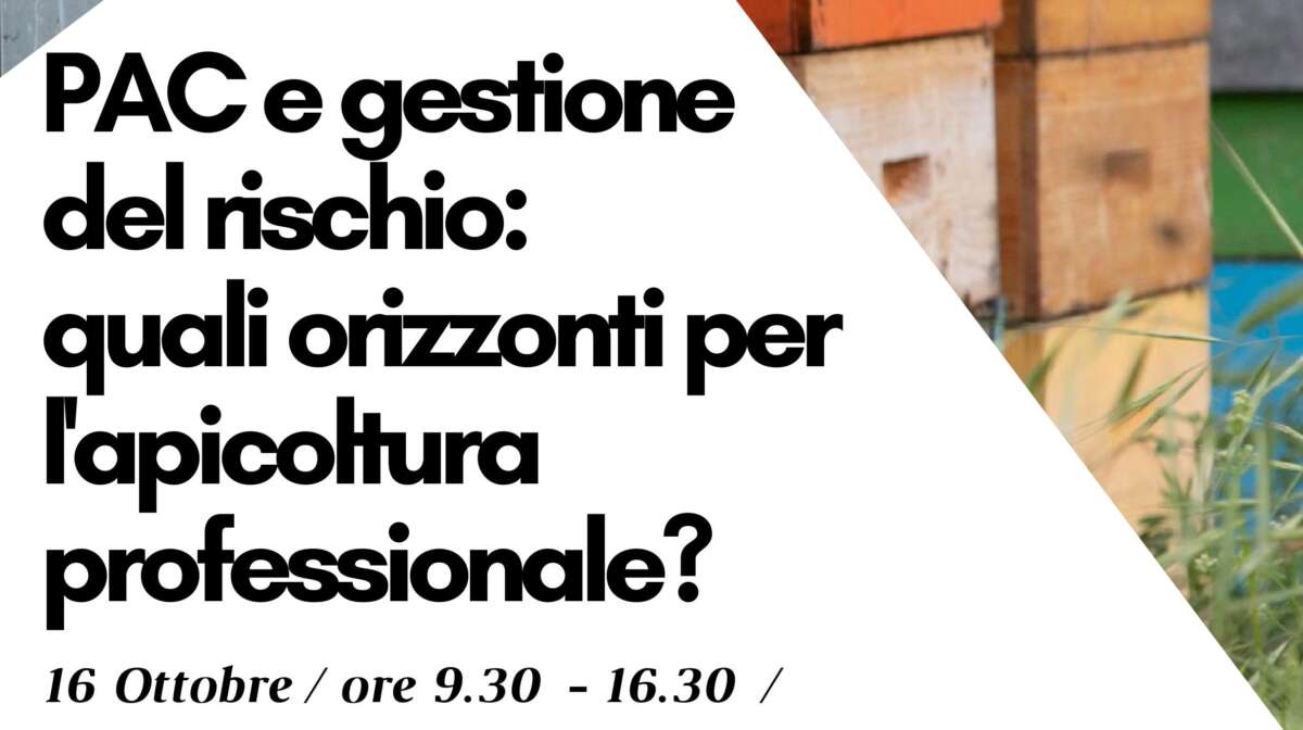 16 ottobre – Tavola rotonda “Pac e gestione del rischio: quali orizzonti per l’apicoltura professionale?”