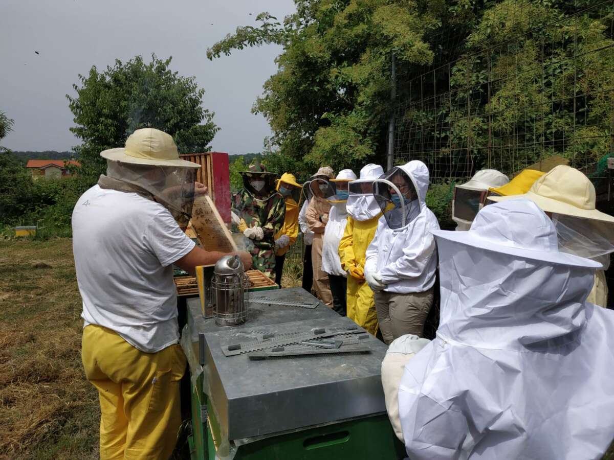 Corso base di apicoltura 2023 - Apilombardia
