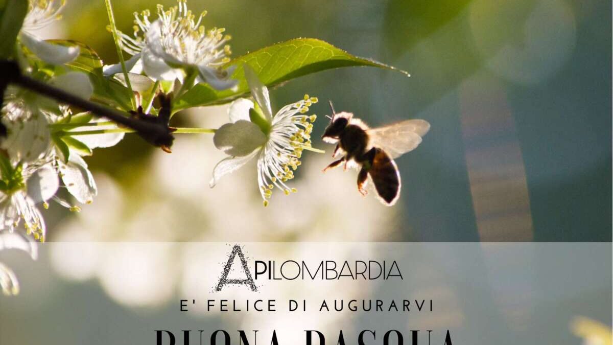 Apilombardia è felice di augurarvi Buona Pasqua