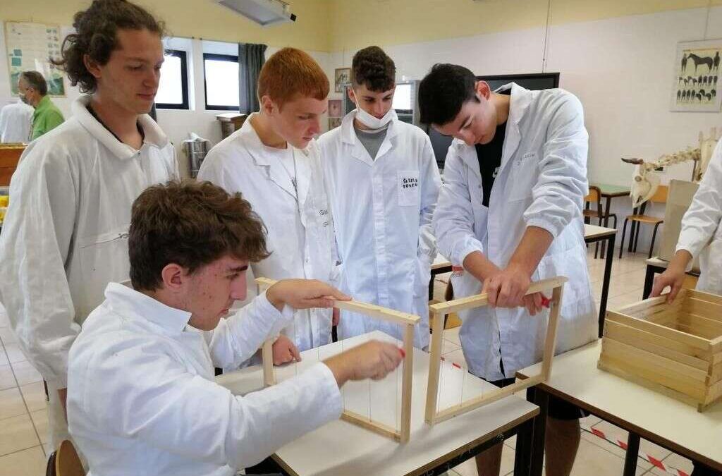 Project Work Beekeeping 2022