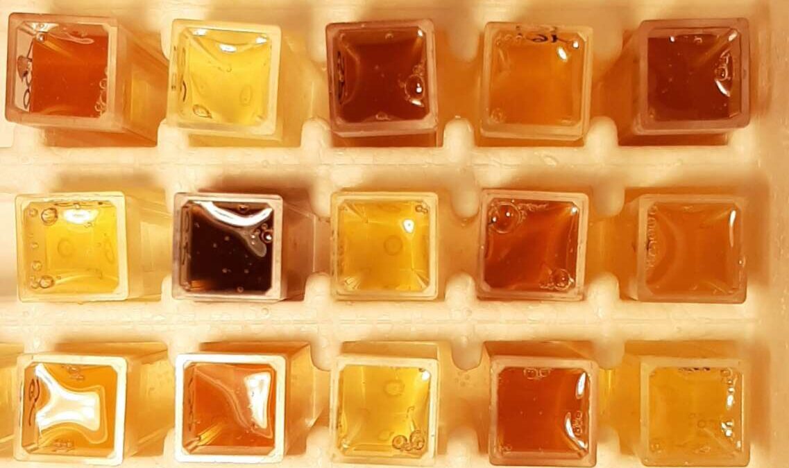 20 luglio – Seminario online “Invasettare un territorio”