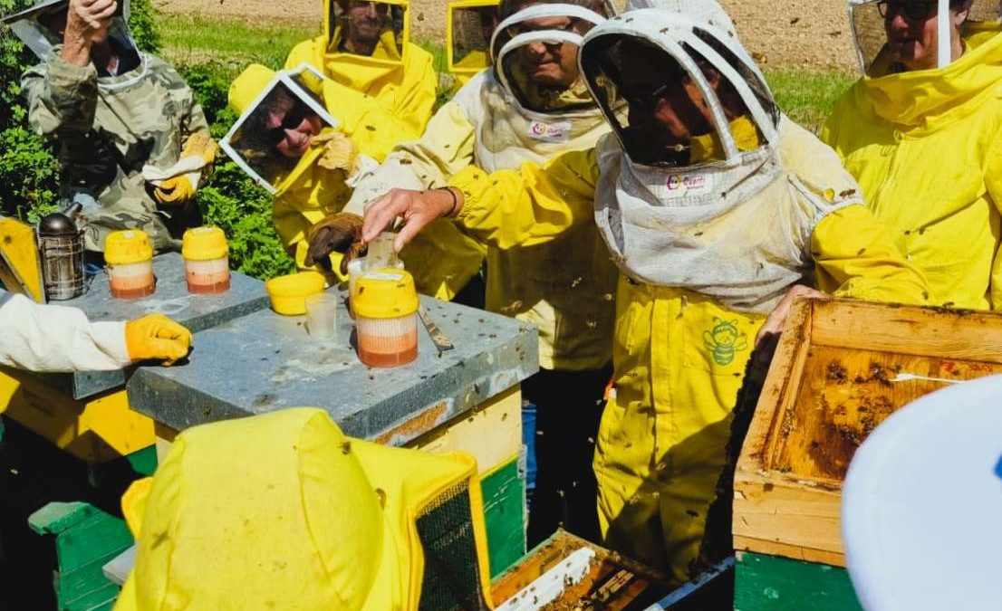 8 giugno – Incontro pratico a Capriano del Colle (BS) – Varroa: confronto e pratica di monitoraggio dell’infestazione