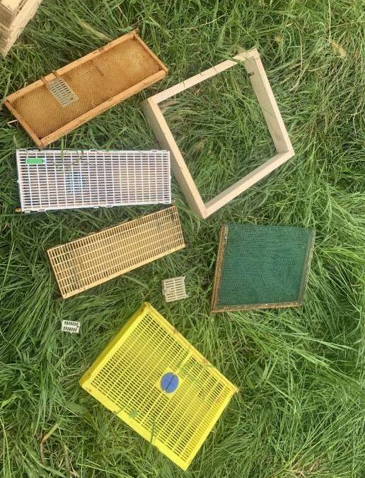 29 Giugno – Incontro pratico a Bergamo: metodi di ingabbio della regina