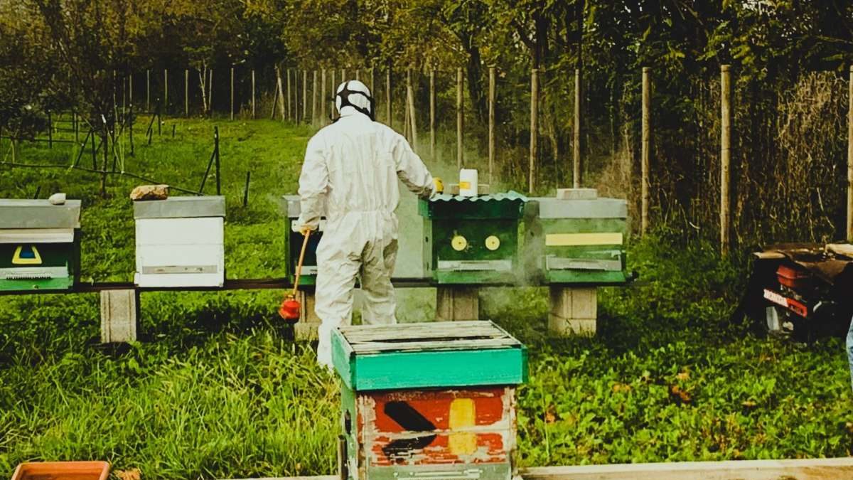 23 NOVEMBRE – DIMOSTRAZIONI PRATICHE DI TRATTAMENTI INVERNALI