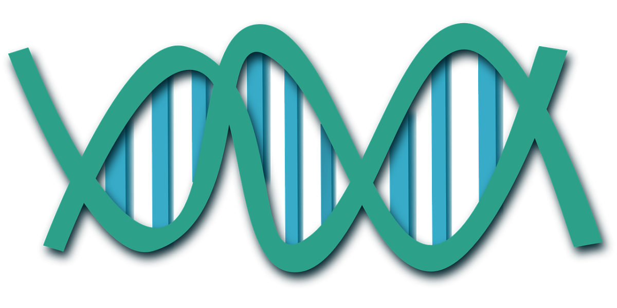 Corso di genetica e selezione delle api