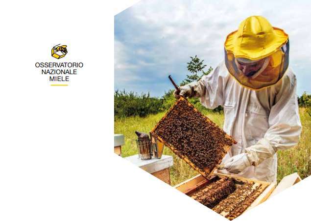 Report Annuale 2024: produzione e mercato del miele