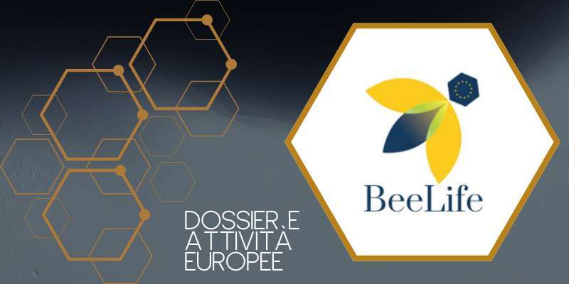 27 febbraio – Webinar “Beelife – Dossiers e attività europee”