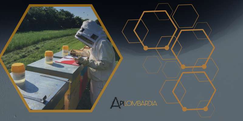 20 febbraio – Webinar “Monitoraggi e iniziative di sorveglianza sanitaria 2026”