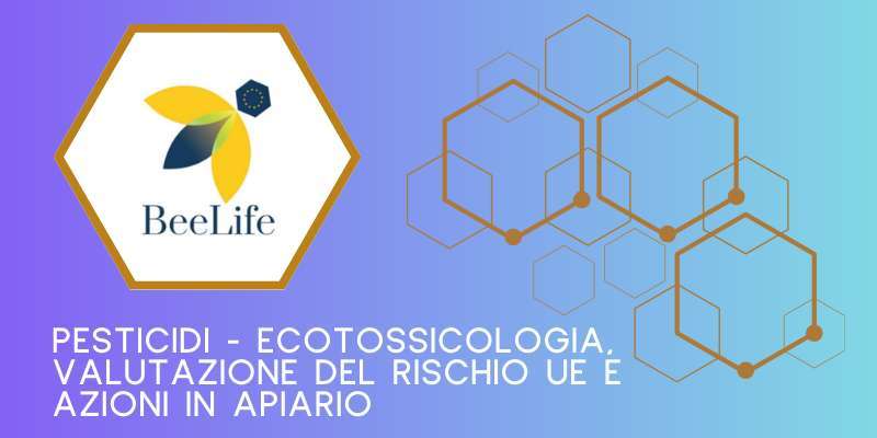 6 marzo – Webinar “Pesticidi: intossicazioni, valutazioni del rischio dei pesticidi in Europa e il ruolo delle api e degli apicoltori”