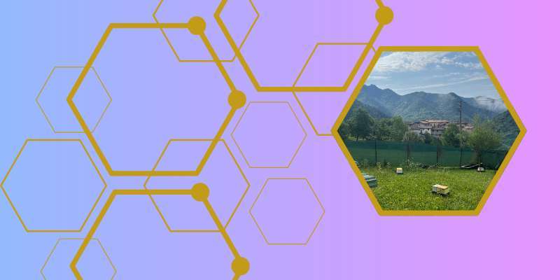 7 maggio – Webinar “ADA Valvestino: opportunità di miglioramento genetico per gli apicoltori”