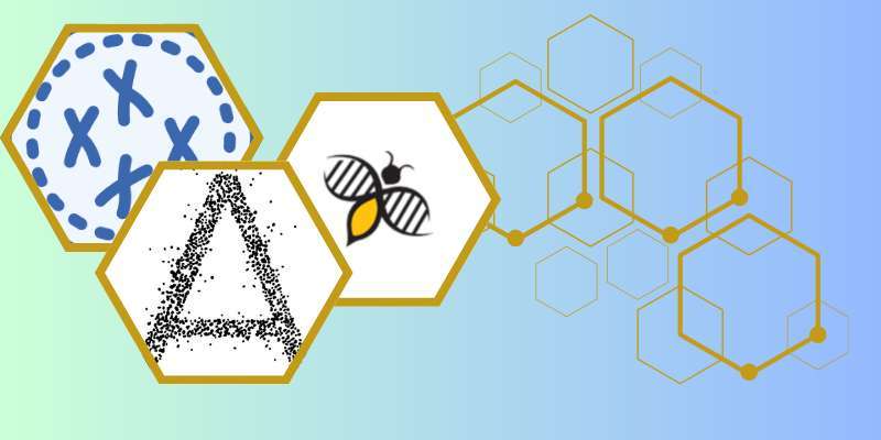 6, 8 e 9 maggio – Corso di inseminazione strumentale delle api regine