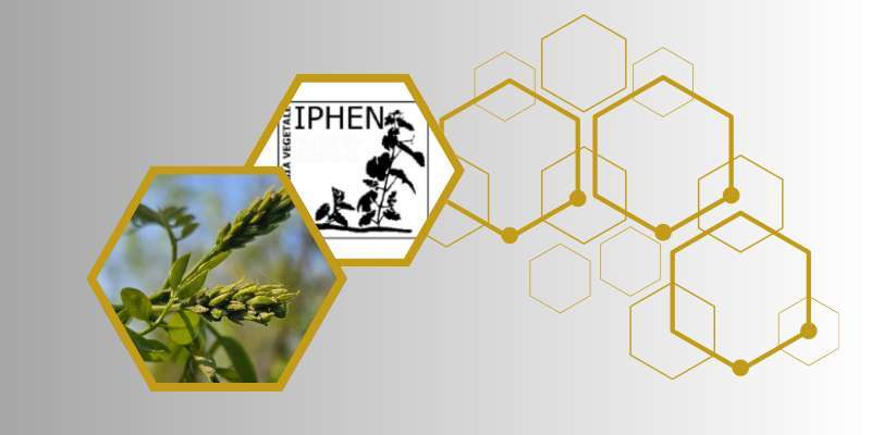 Iphen: Bollettino fenologico del 9 aprile 2026