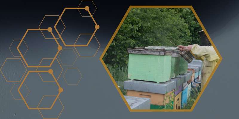 Maggio – Dimostrazioni pratiche per la produzione di nuclei