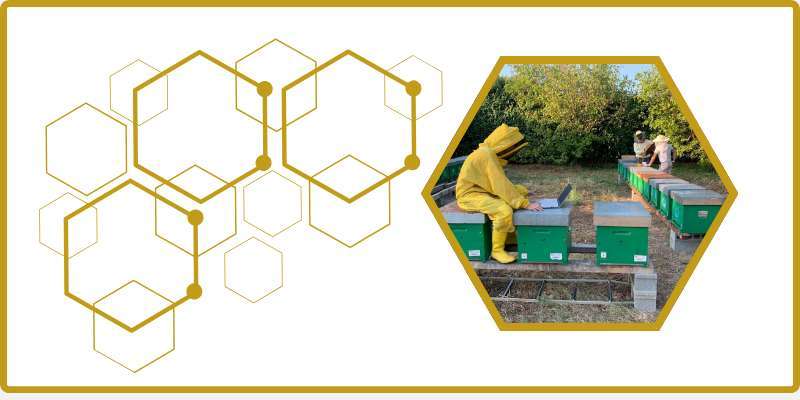 23 giugno – Webinar “I risultati delle prove di campo 2025-2026”