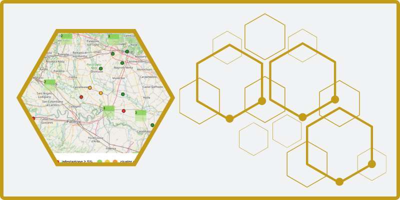 Monitoraggio Varroa 2026: i dati di giugno e la situazione in Lombardia